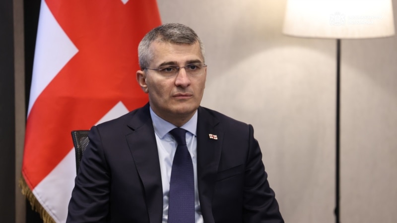 მდინარაძემ თქვა, რომ უძილაური ევროპის ერთ-ერთი დიდი ქვეყნის  ჯაშუშობაშია ბრალდებული