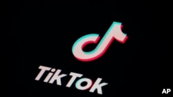 Logo TikToka na mobilnom telefonu, 28. februar 2023.