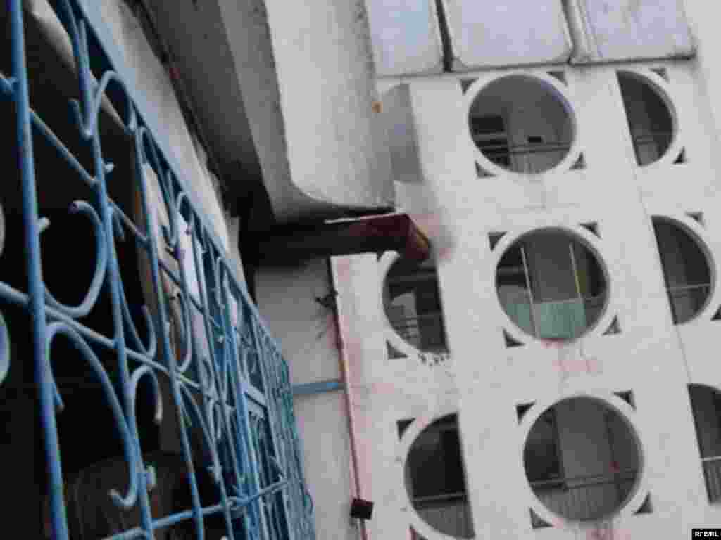 Бухориҳо дар ошёни баланд #20