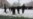 Փաշինյան․ Մարտի 1-ին տեղի ունեցածի մեղավորները երկուսն են