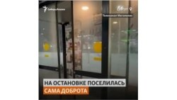 Пёс, за которым следил весь Сургут, уезжает в Москву