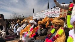 د علي وزیر پر مقدمه د کابلخېلو دړکه