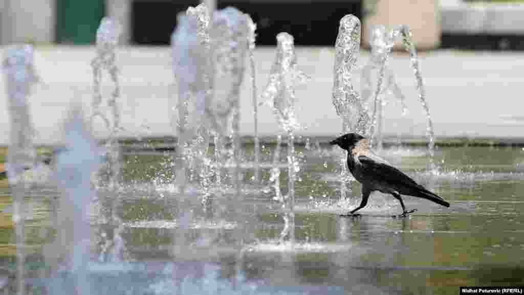 Bosnia and Herzegovina - Sarajevo, summer, high temperatures, heat, illustrative photo, 22Jun2012.