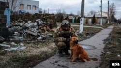 A Ukrainian soldier plays with a dog in the eastern city of Debaltseve.