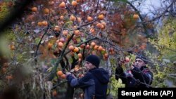 Илустрација