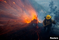 Ветер раздувает тлеющие угли, пока пожарный борется с огнем в национальном лесу Анджелес недалеко от горы Уилсон во время пожара "Итон" в Альтадене, Калифорния. США, 9 января 2025 года. Фото: Reuters