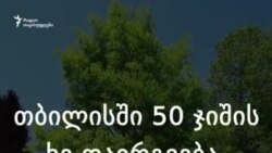 თბილისში 50 ჯიშის ხე დაირგვება