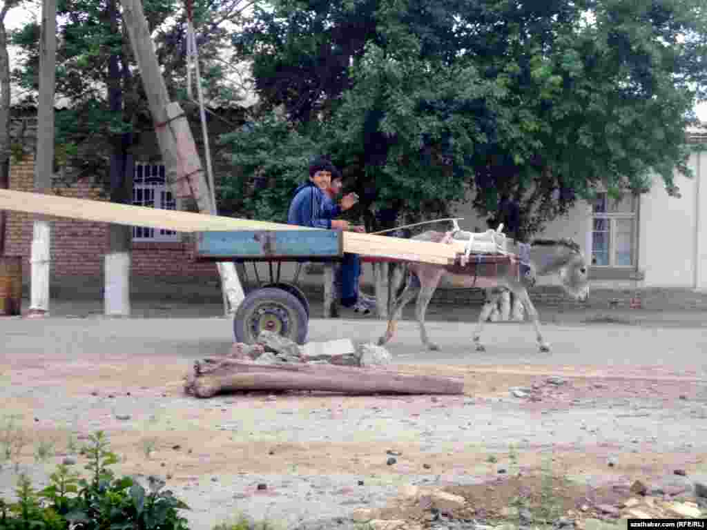 Arabada ýük daşap barýan oglanlar 