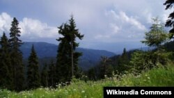 Боржоми-Харагаульский национальный парк (архивное фото)