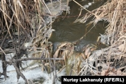 Некогда прозрачная вода реки окрасилась в темно-коричневый цвет. Талгарский район, Алматинская область, 18 апреля 2021 года.