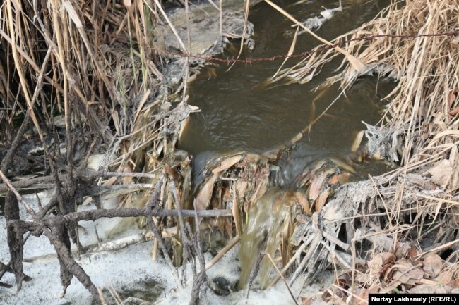 Некогда прозрачная вода реки окрасилась в темно-коричневый цвет. Талгарский район, Алматинская область, 18 апреля 2021 года.