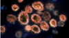 Частицы вируса Sars-COV-2 под электронным микроскопом