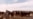 Iraq: Marshlands Drained By Saddam Shown To Be Recovering At Rapid Rate