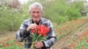 Georgia -- Kako Jeiranashvili, Flower plantation, village Kolagi, Kakheti region