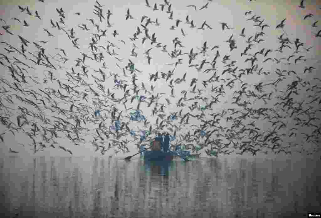 People feed seagulls from a boat at Yamuna river, on a smoggy morning in New Delhi, India November 18, 2021