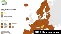 Rata de pozitivare în luna ianuarie 2022. Peste tot în lume ea depășește 4%.