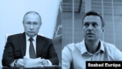 Vladimir Putin, Alexei Navalnîi (colaj)