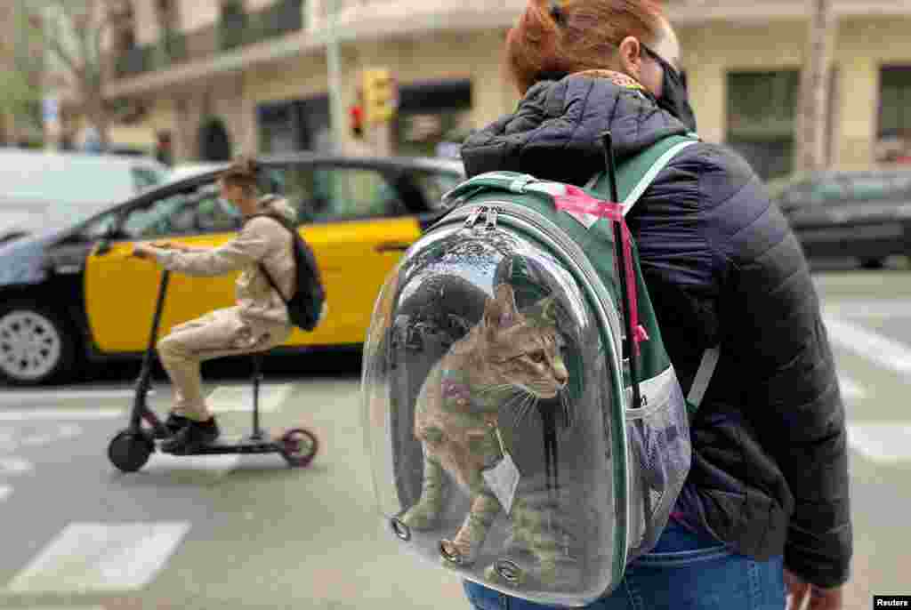 A woman wearing a protective face mask carries her pet cat in a backpack as they wait to cross a street, amid the coronavirus disease (COVID-19) outbreak in Barcelona, Spain April 9, 2021