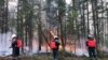 Площадь пожаров в России выросла в сравнении с прошлым годом на 20%