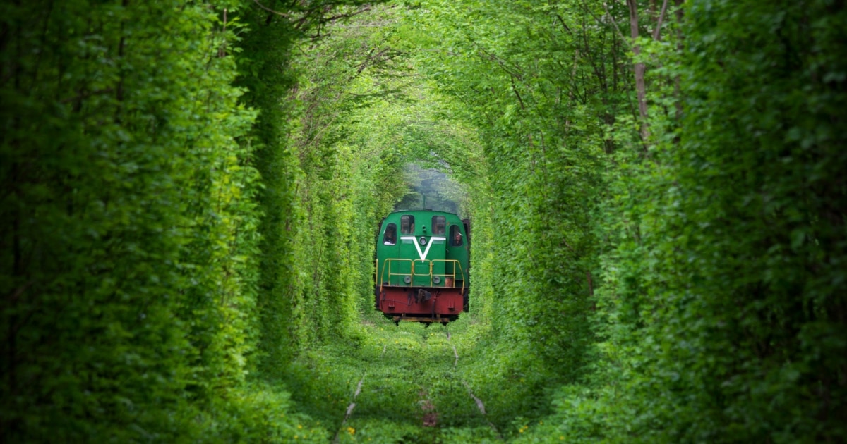 The Surprising Story Behind Ukraine’s 'Tunnel of Love' 