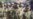 Oversight Of Kyrgyz Forces Demanded