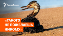 Катастрофа на Кубани: что скрывают власти