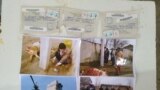 Норбой Назаровнинг сигирини монтёрларнинг айби билан ток ургани тасдиқланган.