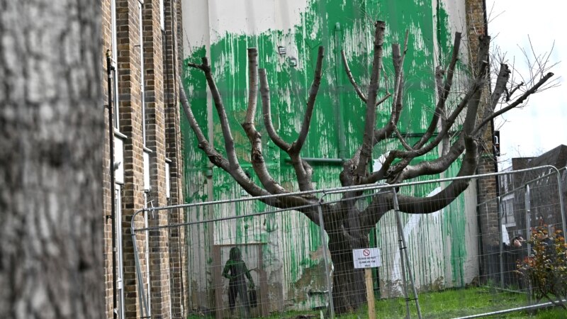 دیوارنگاره جدید بنکسی در لندن پس از «خرابکاری» پشت حصار قرار گرفت