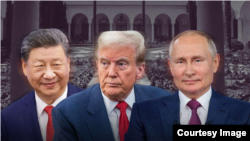 Си Цзиньпин, Дональд Трамп, Владимир Путин, коллаж