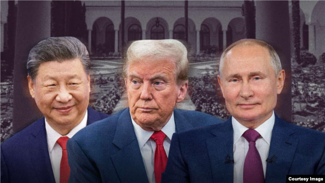 Си Цзиньпин, Дональд Трамп, Владимир Путин, коллаж