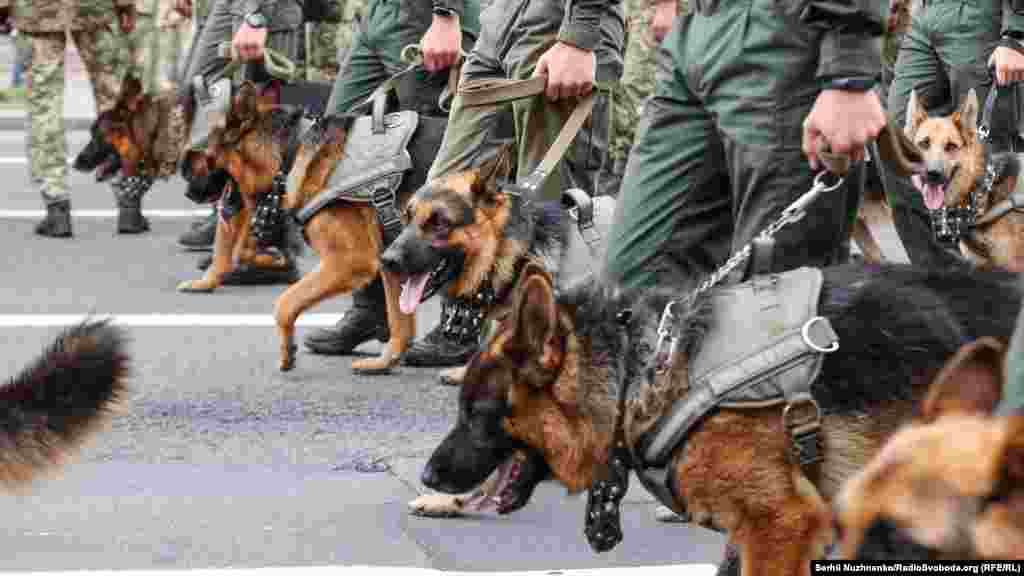 Цьогоріч у параді вперше візьмуть участь кінологічні підрозділи зі службовими собаками