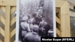 Soldați antonescieni, fotografie dintr-o expoziție despre Holocaust în România