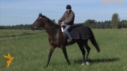 Қадыровтың Чехиядағы сәйгүліктері