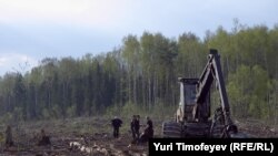 Химкинский лес