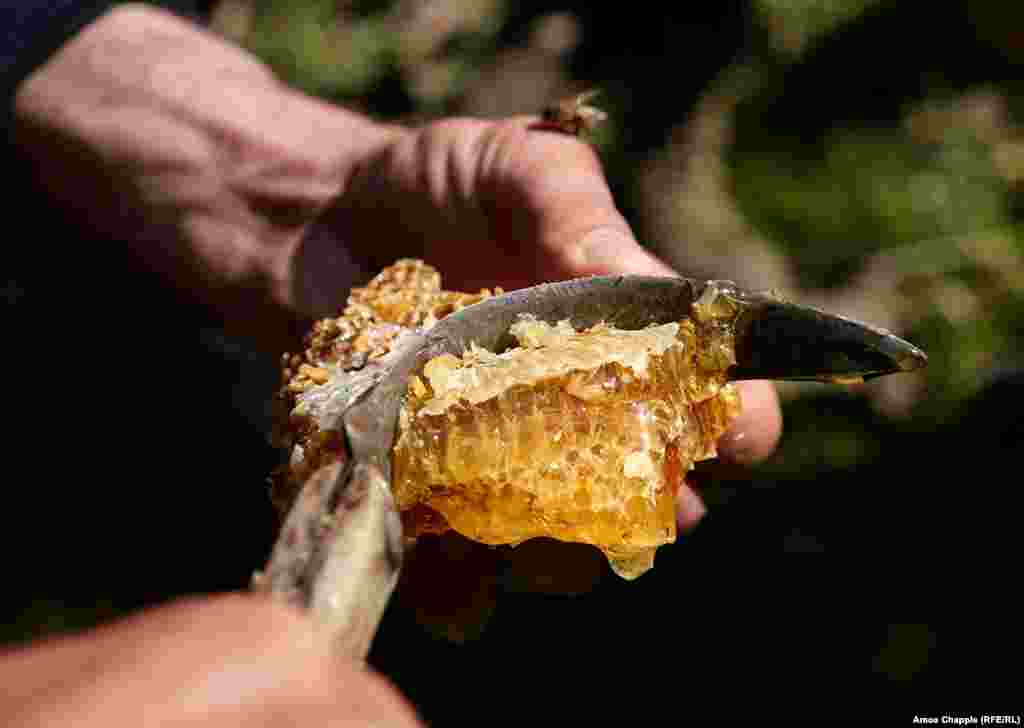 Это &ndash; мед джара, одно из самых чистых натуральных лакомств на Земле
