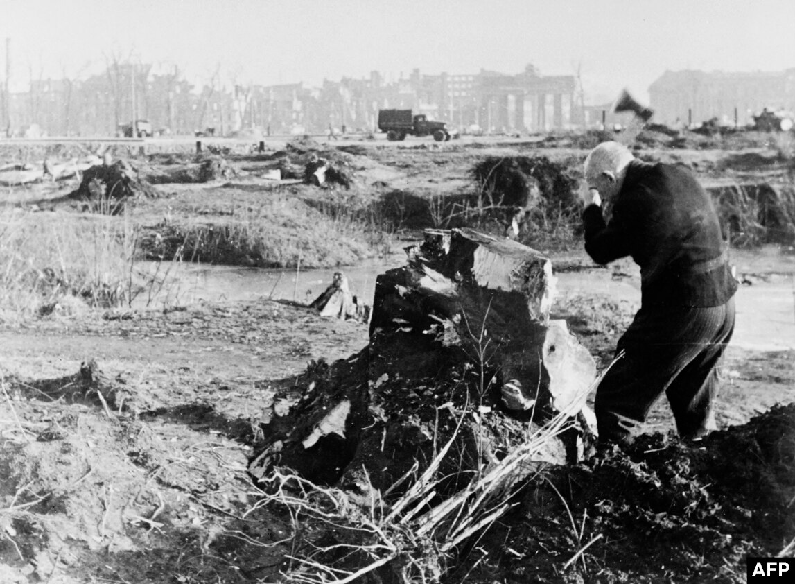 在柏林著名的蒂爾加滕，一名男子從樹樁上砍下大塊木頭。