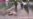 Death At Hands Of Police Sparks Public Anger, Reform Pledge In South Ukraine