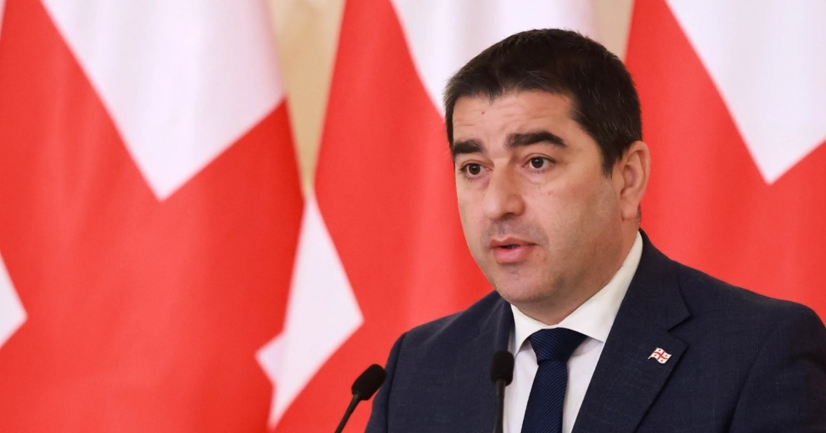 პაპუაშვილმა „დეზინფორმაციის შემცველი“ უწოდა გაეროში ევროკავშირის ელჩის განცხადებას