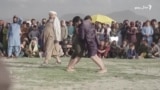 د طالبانو حکومت ادعا کوي چې د سيلګرۍ صنعت وده کړې
