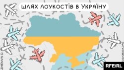 Політична карикатура Євгенії Олійник