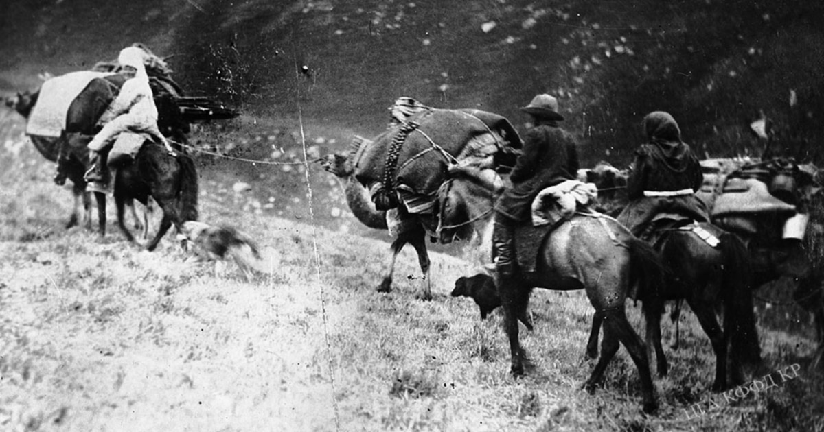 Экзотикалық порно онлайн көру