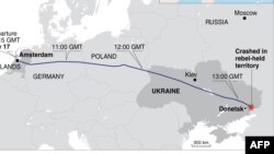 Нідерланди готують оприлюднення результатів розслідування щодо катастрофи рейсу MH17