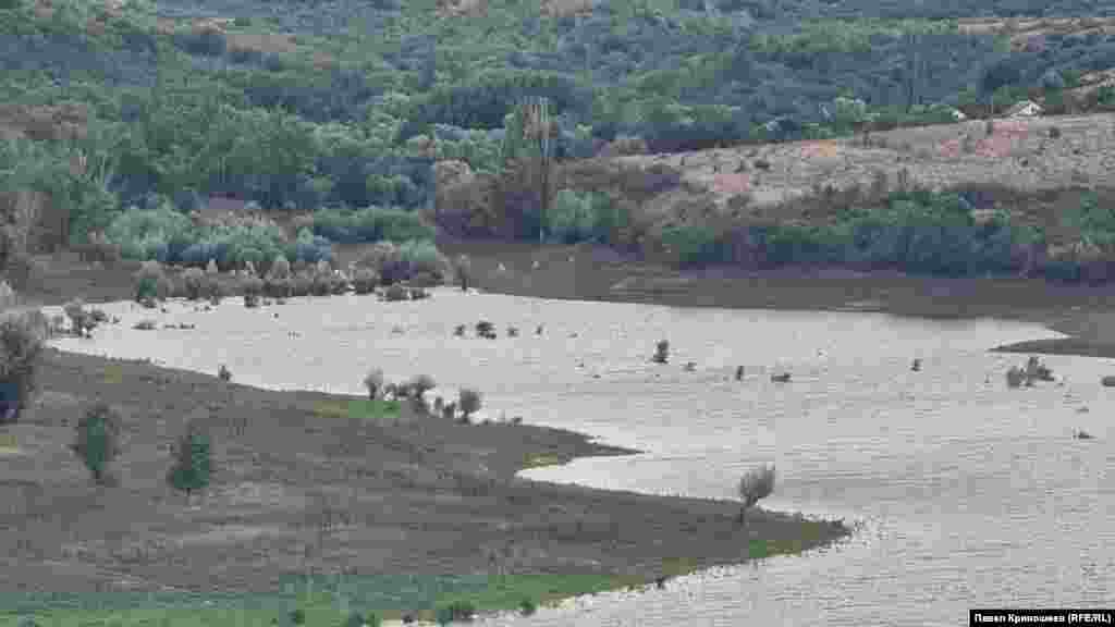 Мелеющее Белогорское водохранилище