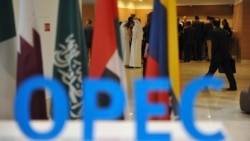 Türkmenistan OPEC-iň nebit önümçiligini azaltmak ylalaşygyna ‘meýilli’