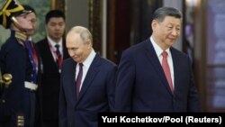 Vladimir Putin və Si Cinpin Kremldə görüşdə.