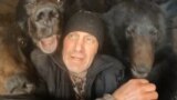 Михаил Филиппов в вольере с медведями. Скрин из видео на YouTube-канале "Мишкина берлога"