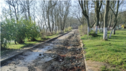Разбитая дорожка в городском парке Керчи, январь 2021 года