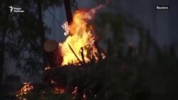 «Они сгорели». Почему полыхают российские леса?