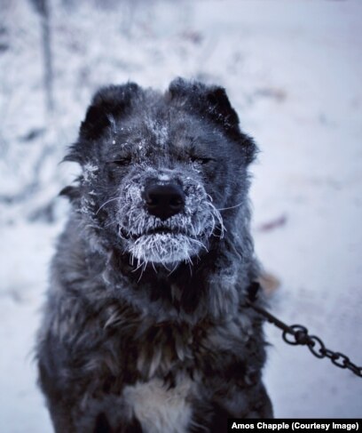 Порно қалыңдық түтігі