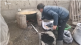 A man feeds coal into an outdoor oven in Uzbekistan. (file photo)
